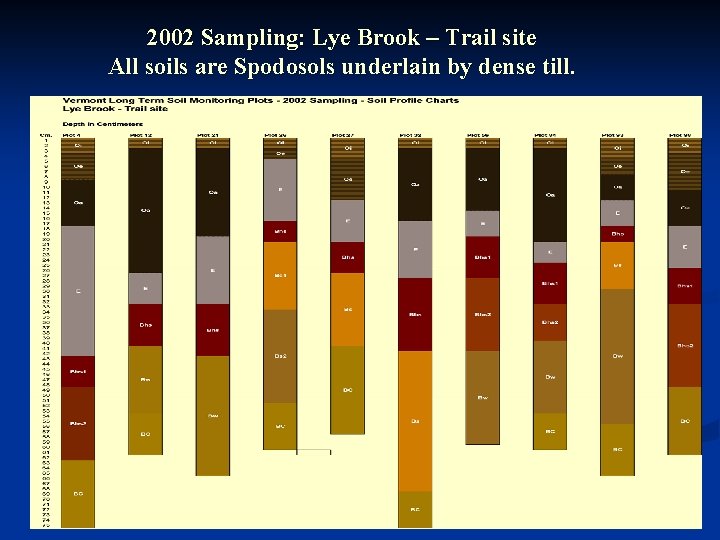 2002 Sampling: Lye Brook – Trail site All soils are Spodosols underlain by dense