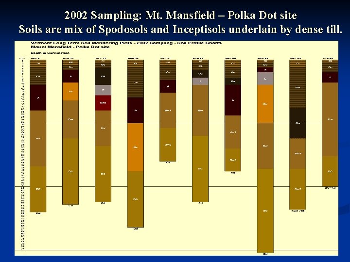 2002 Sampling: Mt. Mansfield – Polka Dot site Soils are mix of Spodosols and