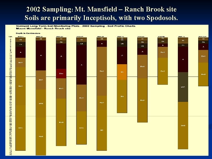 2002 Sampling: Mt. Mansfield – Ranch Brook site Soils are primarily Inceptisols, with two