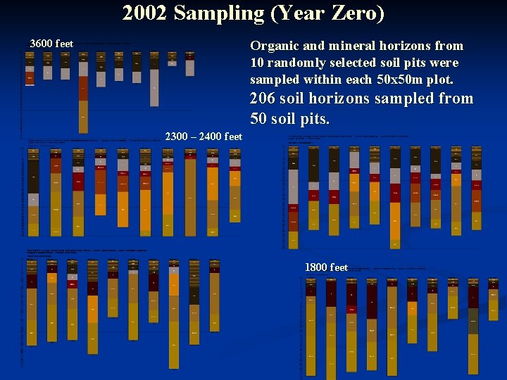 2002 Sampling (Year Zero) 3600 feet Organic and mineral horizons from 10 randomly selected