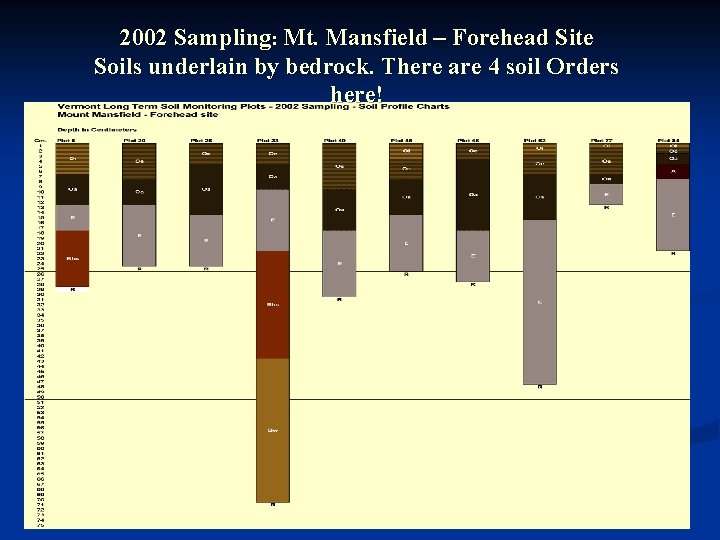 2002 Sampling: Mt. Mansfield – Forehead Site Soils underlain by bedrock. There are 4