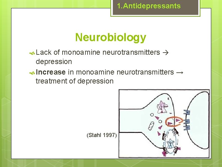 1. Antidepressants Neurobiology of monoamine neurotransmitters → depression Increase in monoamine neurotransmitters → treatment