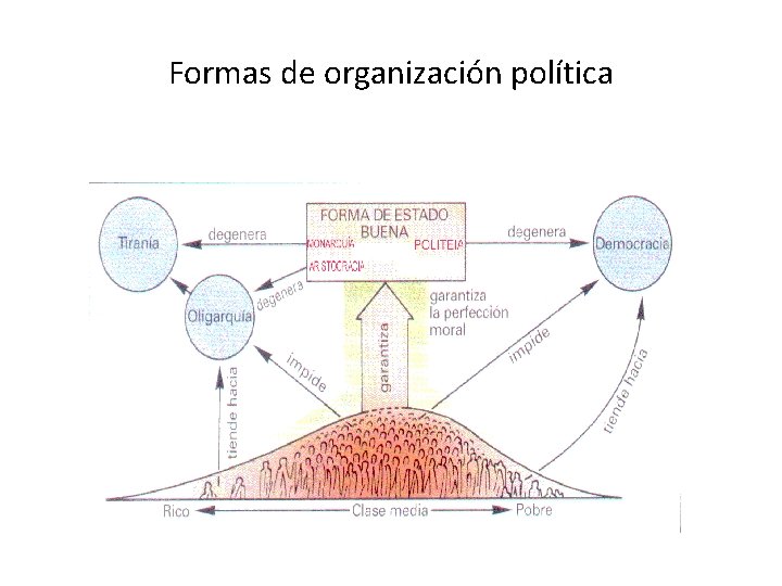 Formas de organización política 