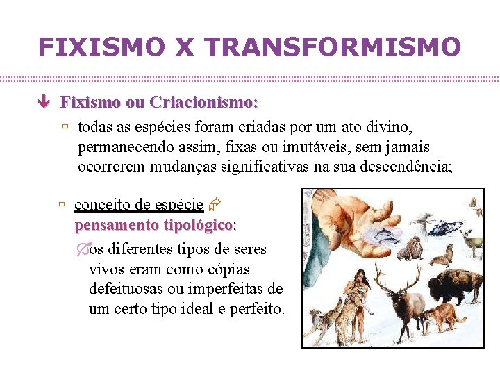 EVOLUO EVIDNCIAS E TEORIAS FIXISMO X TRANSFORMISMO Fixismo