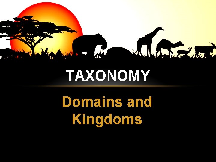 TAXONOMY Domains and Kingdoms 