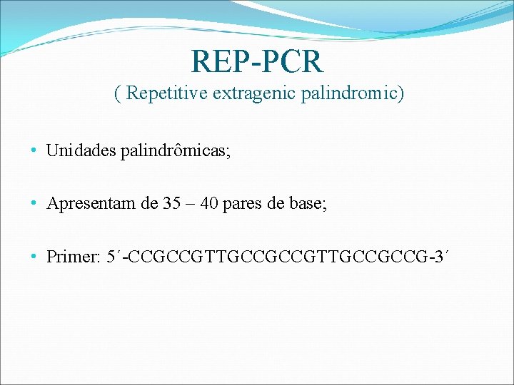 REP-PCR ( Repetitive extragenic palindromic) • Unidades palindrômicas; • Apresentam de 35 – 40