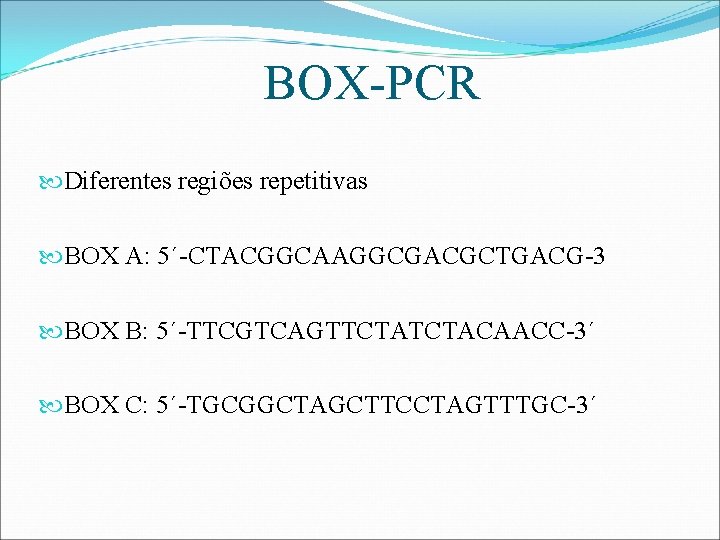 BOX-PCR Diferentes regiões repetitivas BOX A: 5´-CTACGGCAAGGCGACGCTGACG-3 BOX B: 5´-TTCGTCAGTTCTACAACC-3´ BOX C: 5´-TGCGGCTAGCTTCCTAGTTTGC-3´ 