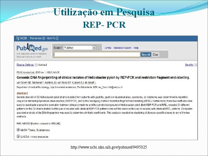 Utilização em Pesquisa REP- PCR http: //www. ncbi. nlm. nih. gov/pubmed/9495025 