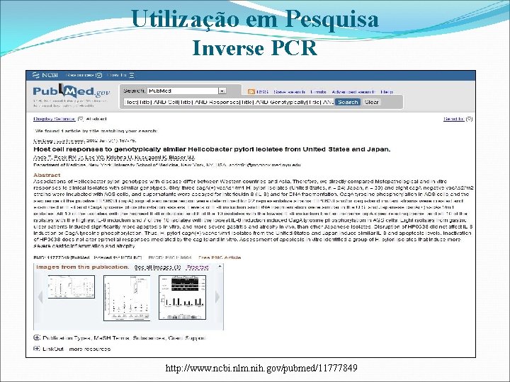 Utilização em Pesquisa Inverse PCR http: //www. ncbi. nlm. nih. gov/pubmed/11777849 