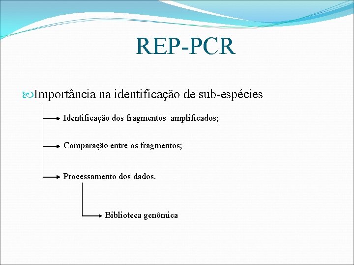 REP-PCR Importância na identificação de sub-espécies Identificação dos fragmentos amplificados; Comparação entre os fragmentos;