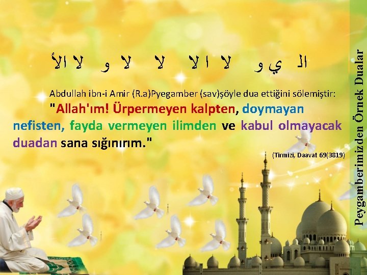  ﻻ ﻻ ﺍﻻ ﺍﻟ ﻱ ﻭ Abdullah ibn-i Amir (R. a)Pyegamber (sav)şöyle dua