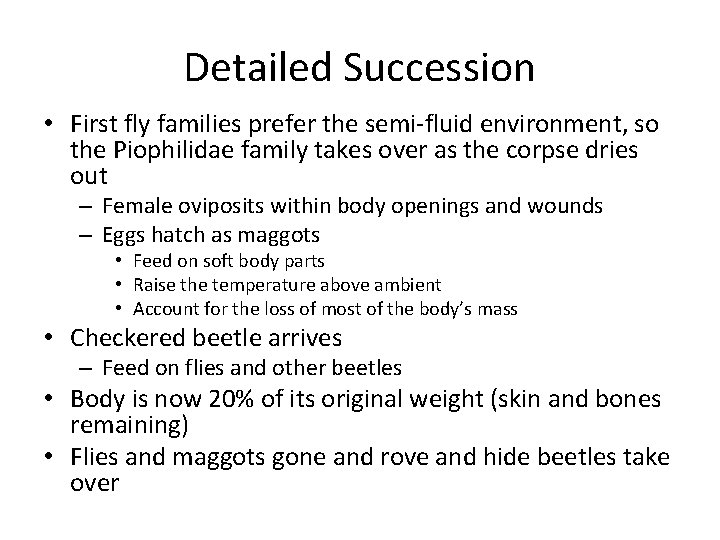 Detailed Succession • First fly families prefer the semi-fluid environment, so the Piophilidae family