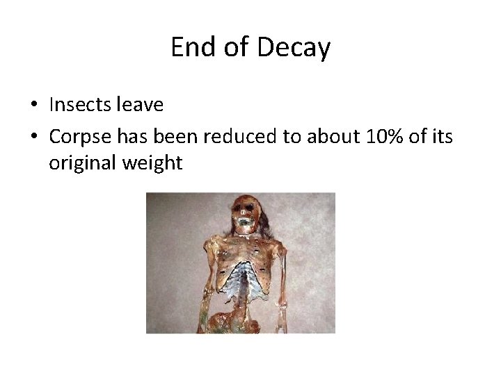 End of Decay • Insects leave • Corpse has been reduced to about 10%