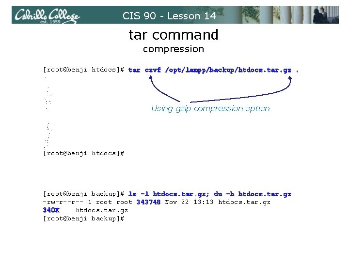 CIS 90 - Lesson 14 tar command compression [root@benji htdocs]# tar czvf /opt/lampp/backup/htdocs. tar.