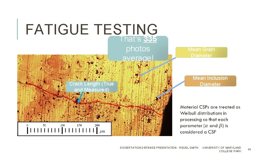 FATIGUE TESTING That’s 335 photos average! Crack Length (True and Measured) Mean Grain Diameter