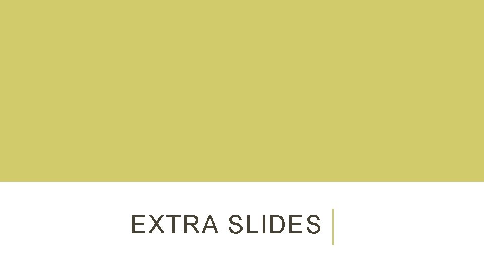 EXTRA SLIDES 