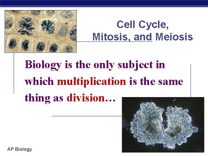 Cell Cycle, Mitosis, and Meiosis Biology is the only subject in which multiplication is