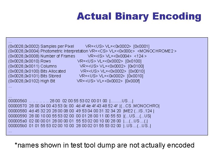 Actual Binary Encoding. . . (0 x 0028, 0 x 0002) Samples per Pixel