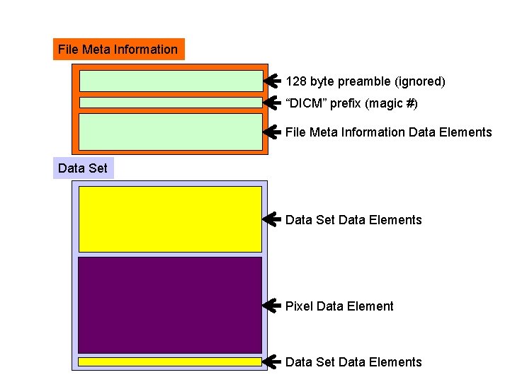 File Meta Information 128 byte preamble (ignored) “DICM” prefix (magic #) File Meta Information