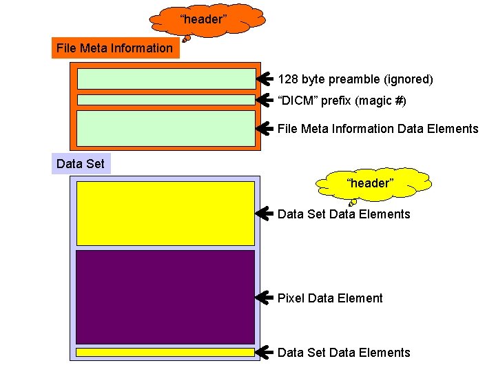 “header” File Meta Information 128 byte preamble (ignored) “DICM” prefix (magic #) File Meta