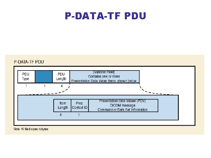 P-DATA-TF PDU 