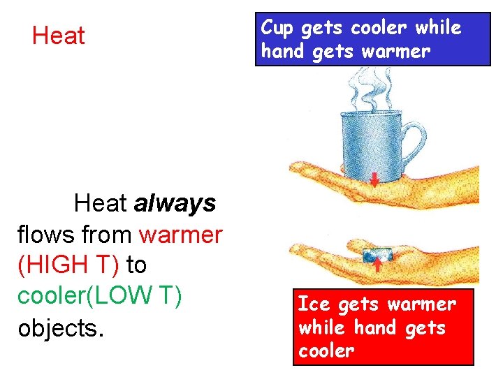 Heat always flows from warmer (HIGH T) to cooler(LOW T) objects. Cup gets cooler