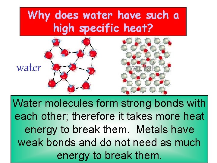 Why does water have such a high specific heat? water metal Water molecules form