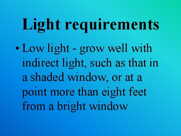 Light requirements • Low light - grow well with indirect light, such as that