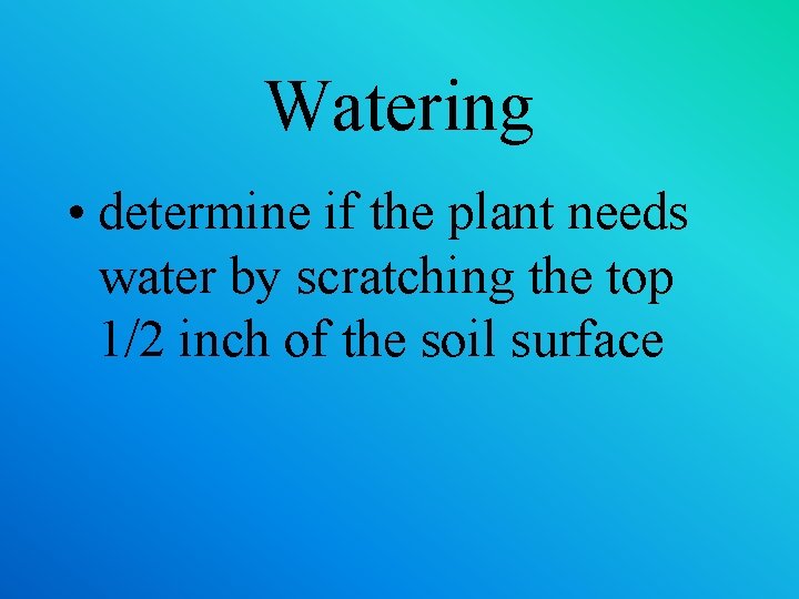 Watering • determine if the plant needs water by scratching the top 1/2 inch