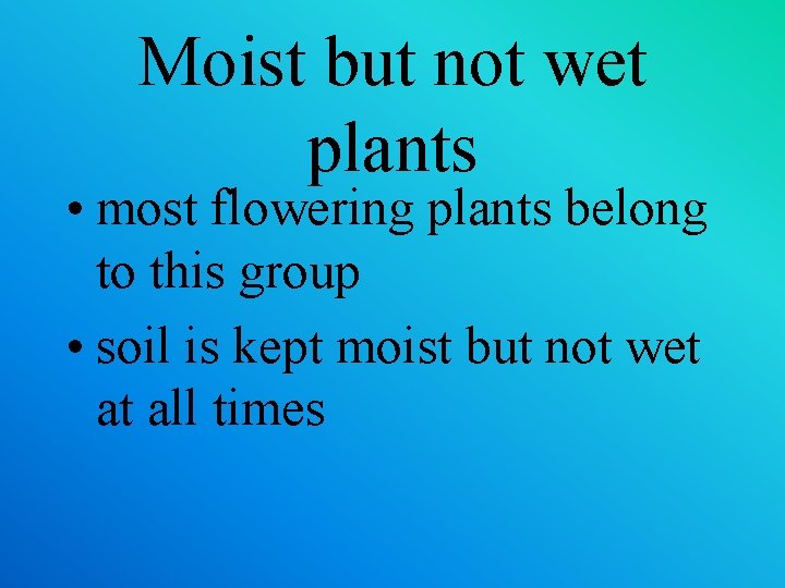 Moist but not wet plants • most flowering plants belong to this group •