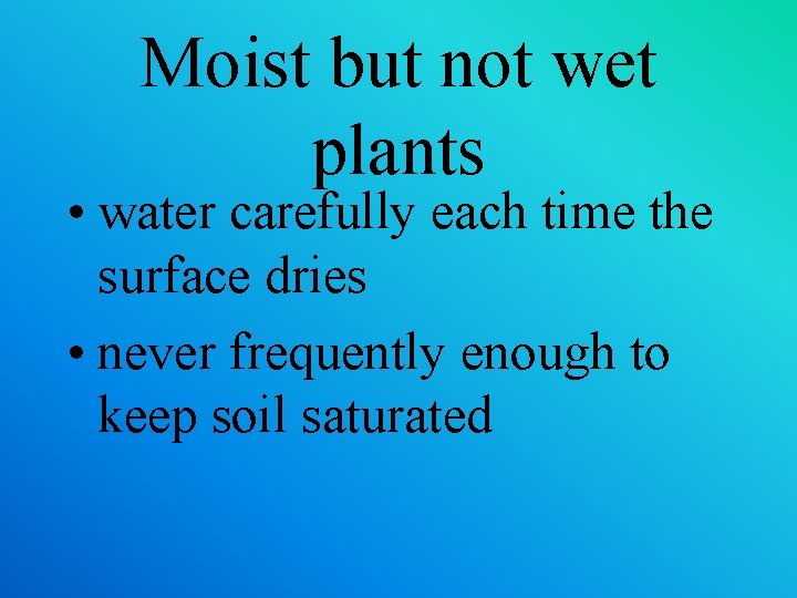 Moist but not wet plants • water carefully each time the surface dries •