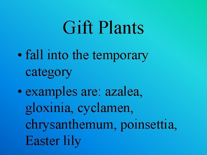 Gift Plants • fall into the temporary category • examples are: azalea, gloxinia, cyclamen,