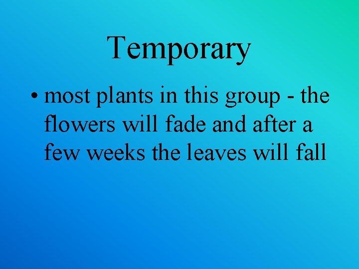 Temporary • most plants in this group - the flowers will fade and after