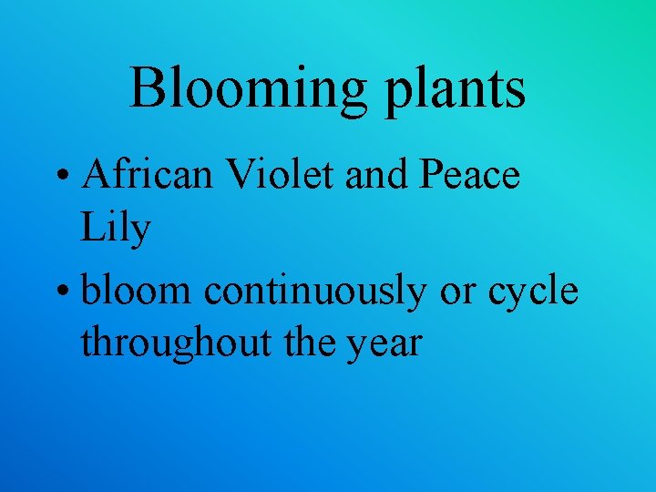 Blooming plants • African Violet and Peace Lily • bloom continuously or cycle throughout