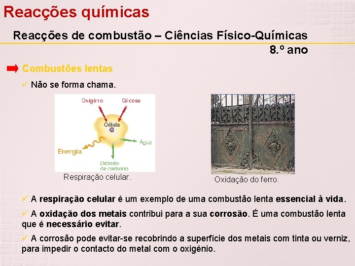 Reacções químicas Reacções de combustão – Ciências Físico-Químicas 8. º ano Combustões lentas Não