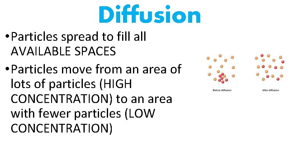 Diffusion • Particles spread to fill all AVAILABLE SPACES • Particles move from an
