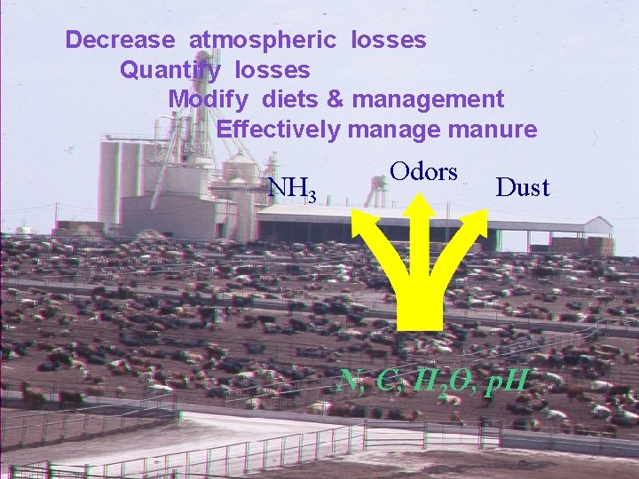Decrease atmospheric losses Quantify losses Modify diets & management Effectively manage manure NH 3 Decrease atmospheric losses Quantify losses Modify diets & management Effectively manage manure NH 3