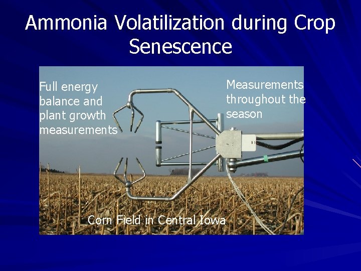 Ammonia Volatilization during Crop Senescence Full energy balance and plant growth measurements Corn Field Ammonia Volatilization during Crop Senescence Full energy balance and plant growth measurements Corn Field