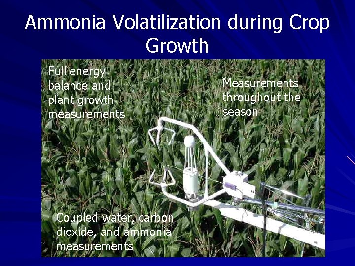 Ammonia Volatilization during Crop Growth Full energy balance and plant growth measurements Corn Field Ammonia Volatilization during Crop Growth Full energy balance and plant growth measurements Corn Field