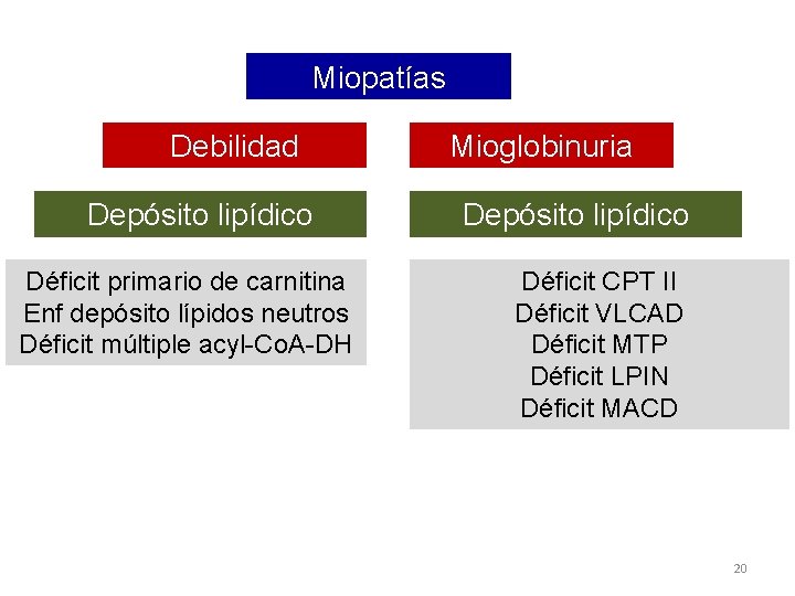 Miopatías lipoideas Debilidad progresiva Depósito lipídico intenso Déficit primario de carnitina Enf depósito lípidos