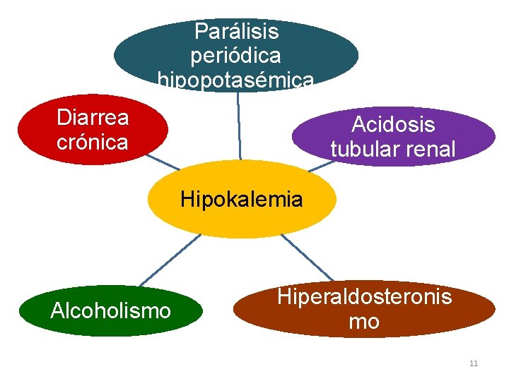 Parálisis periódica hipopotasémica Diarrea crónica Acidosis tubular renal Hipokalemia Alcoholismo Hiperaldosteronis mo 11 