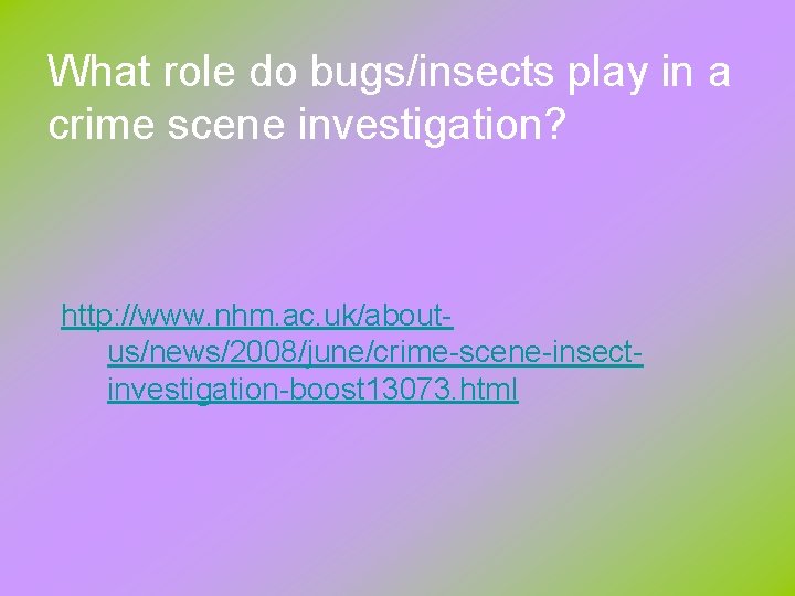 Bugs entomology role of insects TOD collection and