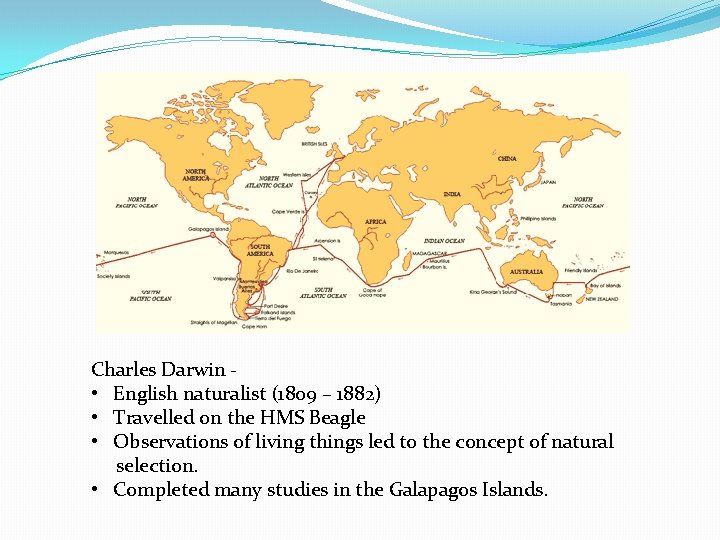 Charles Darwin • English naturalist (1809 – 1882) • Travelled on the HMS Beagle