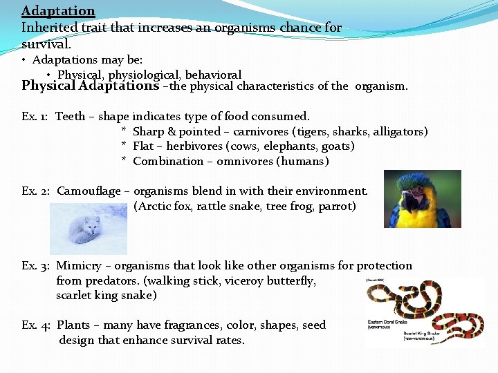 Adaptation Inherited trait that increases an organisms chance for survival. • Adaptations may be: