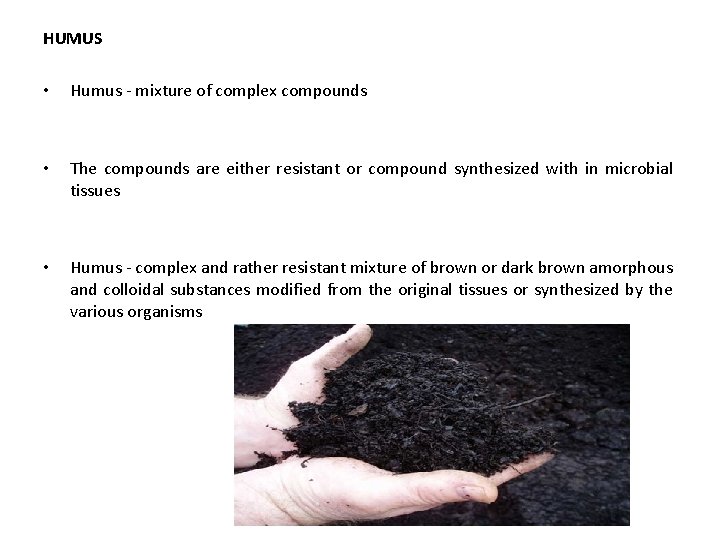 HUMUS • Humus - mixture of complex compounds • The compounds are either resistant