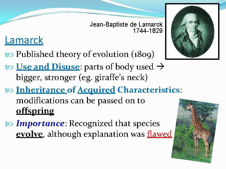 Lamarck Jean-Baptiste de Lamarck 1744 -1829 Published theory of evolution (1809) Use and Disuse: Lamarck Jean-Baptiste de Lamarck 1744 -1829 Published theory of evolution (1809) Use and Disuse: