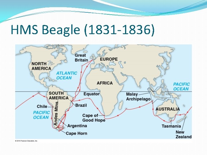 HMS Beagle (1831 -1836) HMS Beagle (1831 -1836)