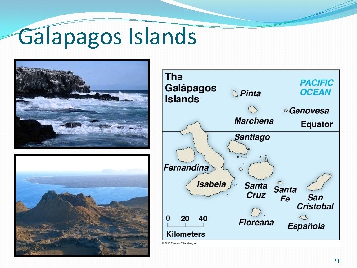 Galapagos Islands 14 Galapagos Islands 14