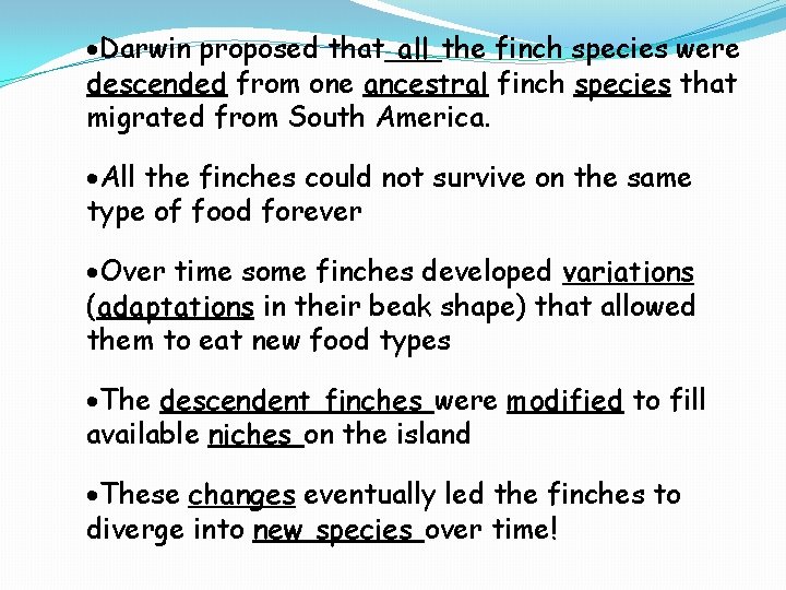 Darwin proposed that all the finch species were descended from one ancestral finch Darwin proposed that all the finch species were descended from one ancestral finch