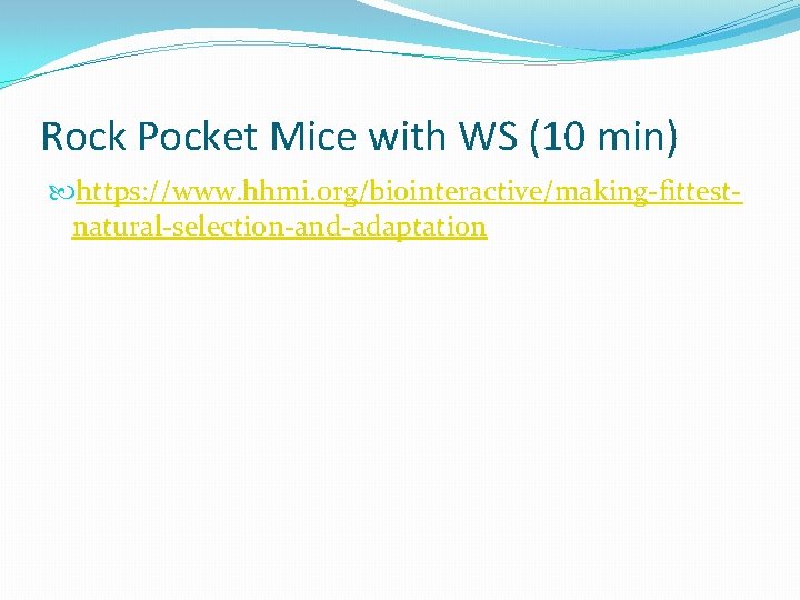 Rock Pocket Mice with WS (10 min) https: //www. hhmi. org/biointeractive/making-fittestnatural-selection-and-adaptation Rock Pocket Mice with WS (10 min) https: //www. hhmi. org/biointeractive/making-fittestnatural-selection-and-adaptation